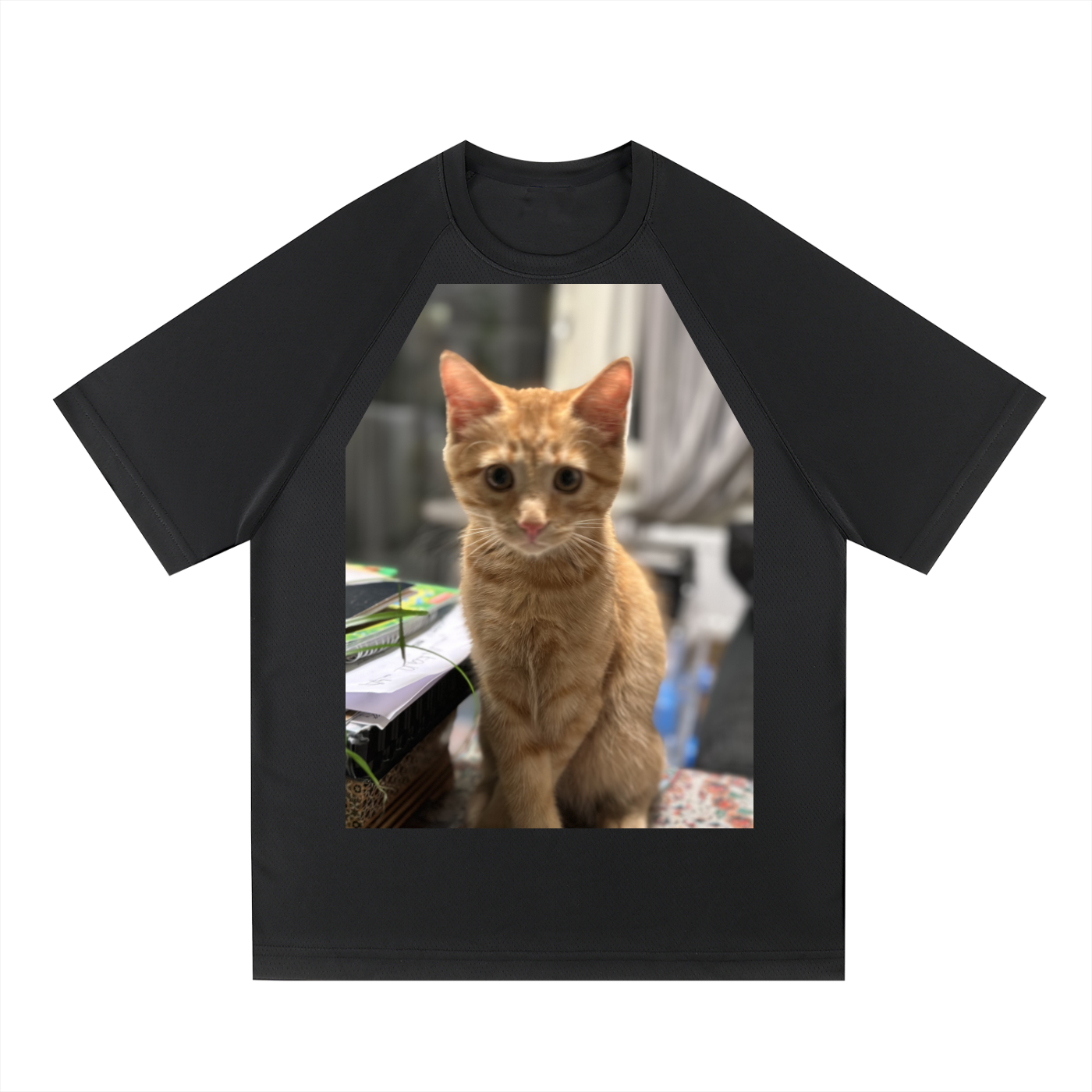 Raglan Sleeve Mesh T-Shirt